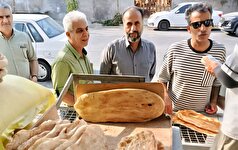 ارتقاء سطح کیفی نان و تضمین رعایت مقررات صنفی در دستور کار بازرسان و ناظران فرمانداری بوشهر