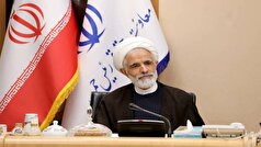 استاد ایرج صغیری آینۀ افتخار هنر متعهد ایران است