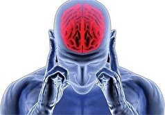 برای داشتن مغز جوان و سالم این نکات را رعایت کنید