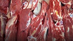 لرستان، قطب تولید گوشت قرمز