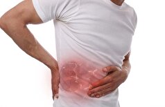 آیا مصرف مشروبات الکی تاثیری در روند بهبود سنگ کلیه دارد؟