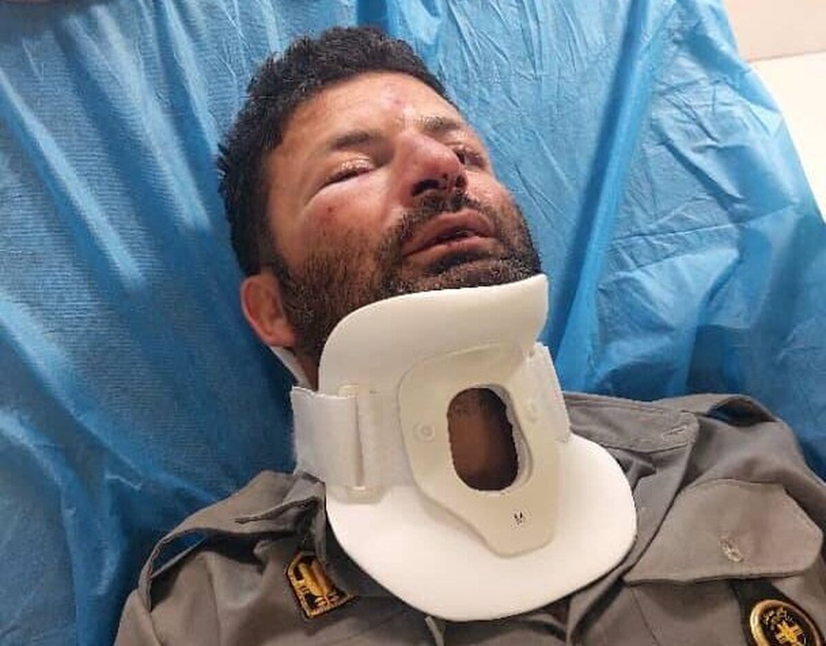 دومین حمله به حافظان طبیعت در شمیرانات؛ این بار ضرب و شتم یک محیط بان
