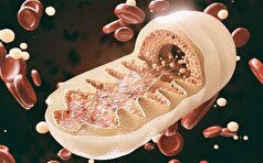 DNA آسیب‌دیده ممکن است مدت‌ها قبل از بروز علائم، پارکینسون را هشدار دهد