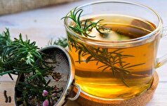 دمنوش گیاهی رزماری؛ معجزه‌ای برای سلامت و گوارش+طرز تهیه