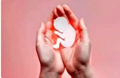 ضرورت مصرف مکمل اسیدفولیک از سه ماه پیش از بارداری