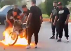 بازداشت یک اخلال‌گر نظم عمومی در اردبیل