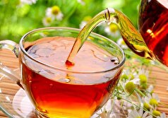 بهترین روش برای مصرف چای سیاه که از آن بی خبر بوده‌اید!
