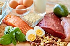 مقدار مناسب مصرف پروتئین روزانه برای ورزشکاران چقدر است؟