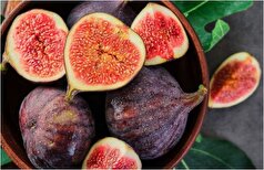 آیا واقعا در هر انجیر زنبور مرده وجود دارد؟