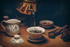 Food Chemistry: مطالعه‌ای جنبه‌های جدیدی از ترکیب لیپیدی دمنوش‌های گیاهی را آشکار می‌کند