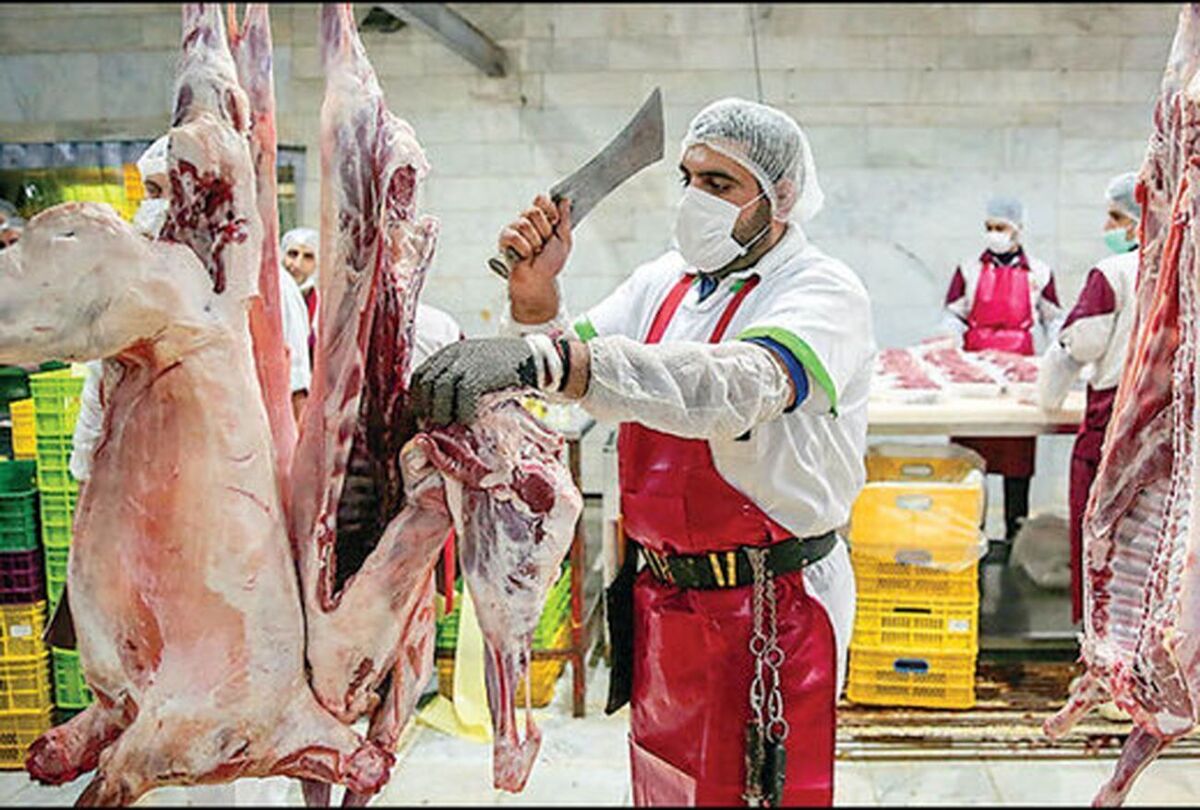 واردات ۷ هزار راس دام سبک و سنگین از پاکستان