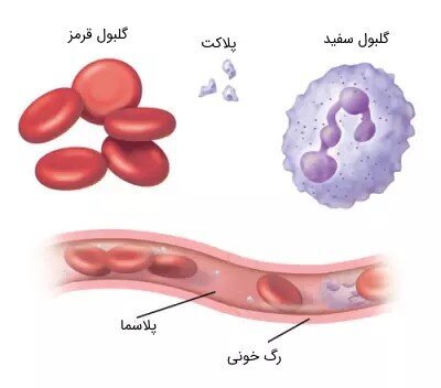 چرا پلاکت خون کاهش می‌یابد و چگونه باید آن را درمان کرد؟