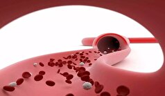 پلاکت خون چه نقشی در بدن دارد؟