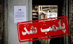 سه واحد خبازی در مریوان پلمب شدند