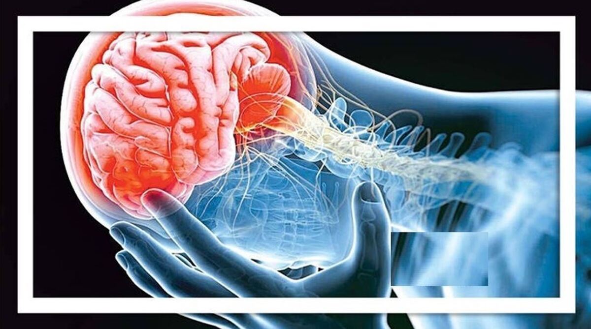 فعالیت‌های روزانه چند درصد از مغز را درگیر می‌کند؟