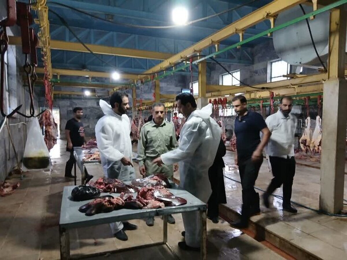 دادستان پلدختر از کشتارگاه دام این شهرستان بازدید کرد