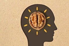خاطرات ترسناک به راحتی از مغز پاک میشوند!