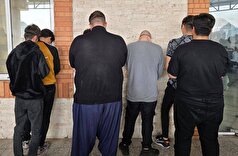۶۶ نفر سارق در سطح شهرستان مراغه دستگیر شدند