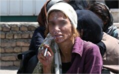 اظهارات تکان دهنده رئیس سازمان بهزیستی درمورد شیوع اعتیاد بین زنان