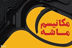 اثرات فعال‌سازی مکانیسم ماشه بیشتر حقوقی و روانی است