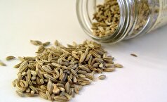 کاهش خطر بیماری با کمک زیره!