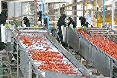 نیاز حیاتی صنایع تبدیلی کشاورزی همدان به ۵۰۰۰ میلیارد تومان تسهیلات