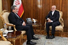 دیدار سفیر جدید ایران در نامیبیا با وزیر امور خارجه