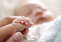 منابع تخصیص سهام به نوزادان ۱۴۰۱ و ۱۴۰۲ تامین شد