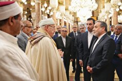 وزیر امور خارجه در دیدار با مفتی تونس: توقف نسل کشی در غزه مستلزم همکاری امت اسلامی است