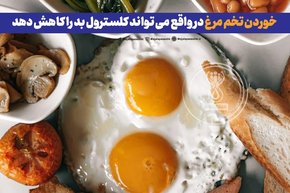 کاهش سطح کلسترول LDL چگونه اتفاق می‌افتد؟