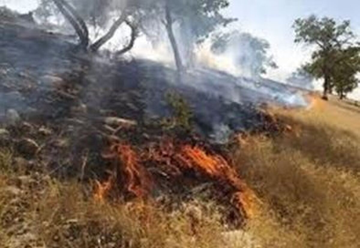نبرد سخت ۵ روزه برای اطفای حریق در مریوان/انجام ۳۲ سورتی پرواز بالگرد