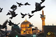 عدم مشروعیت حاکمان جور پیام سیاسی سیره امام رضا(ع)