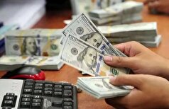 تخصیص و تامین ارز بانک مرکزی برای واردات امسال از ۲۱.۲ میلیارد دلار گذشت