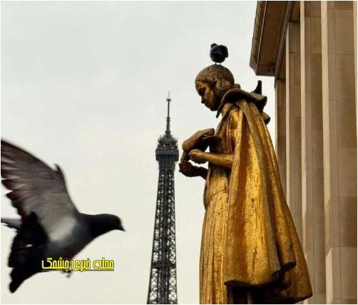 عکس هنری و خلاقانه سارا روستا با برج ایفل