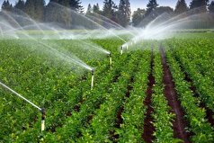 سرمایه گذاری ۵۶۶ میلیارد تومانی برای افتتاح طرح های کشاورزی
