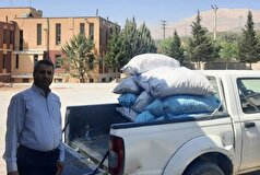 نقره داغ شدن متخلف قاچاق چوب در بویراحمد