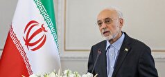 صالحی: توافق ایران و آژانس فی‌نفسه مثبت و رو به جلو است