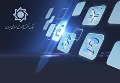 تامین ارز ۶.۵ میلیارد دلاری ارز کالا‌های اساسی/ ۲۵ میلیارد دلار ارز واردات از ابتدای سال تاکنون تامین شد