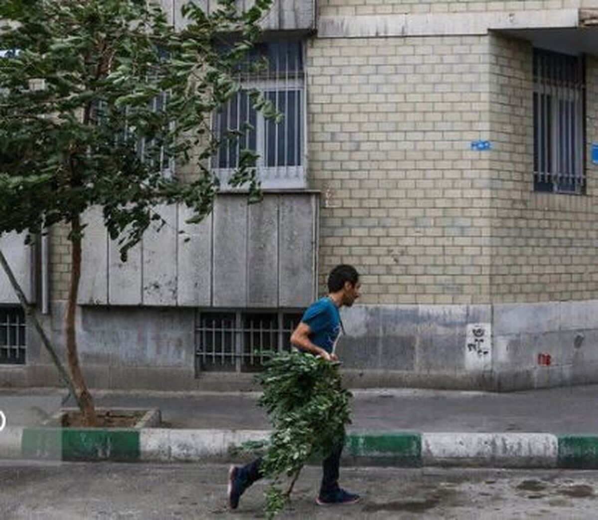 صدور هشدار هواشناسی؛ وزش باد شدید و گرد و خاک در تهران