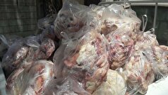 معدوم‌سازی ضایعات غیربهداشتی مرغ در شهرک صنعتی شکوهیه قم