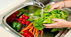 تازگی و طعم سبزیجات و میوه‌ها را اینگونه حفظ کنید!