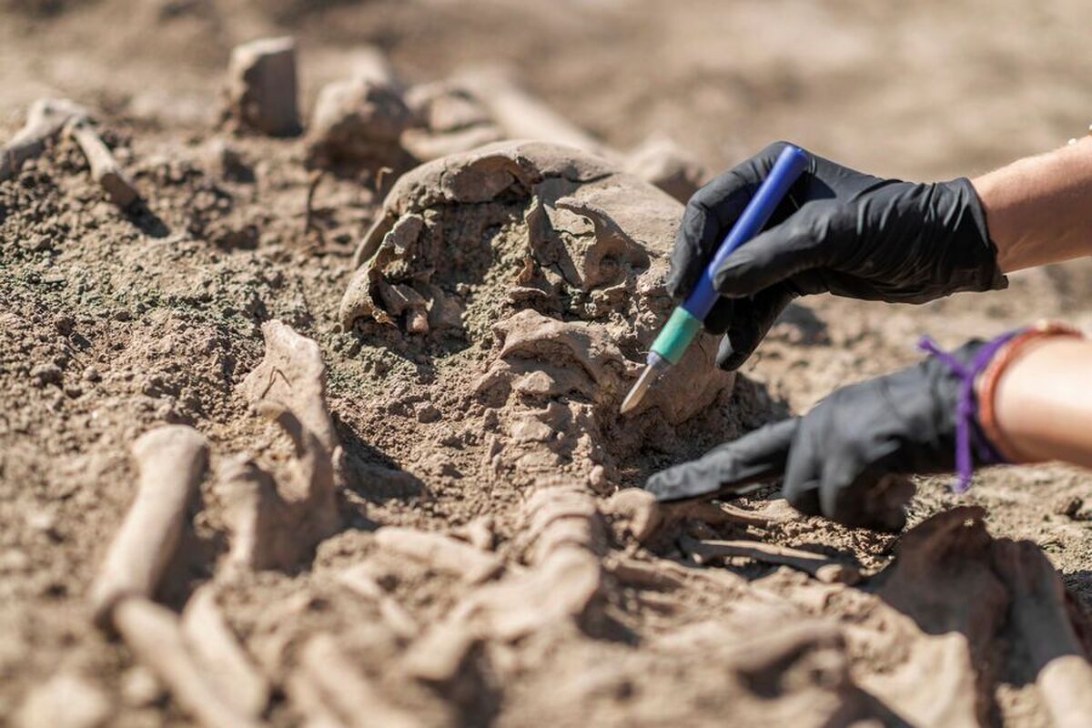 کشف آثاری از یک تمدن باستانی ناشناخته در کوه‌های کلمبیا