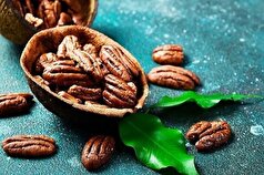 با مصرف روزانه این گردوی خاص، میزان کلسترول خون تان را مدیریت کنید