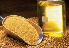 آغاز ثبت سفارش جدید واردات روغن خام از فردا