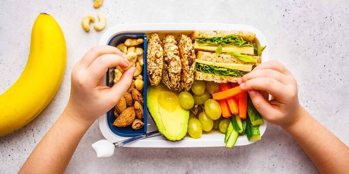 چگونه پروتئین کافی برای دانش‌آموزان را تامین کنیم؟