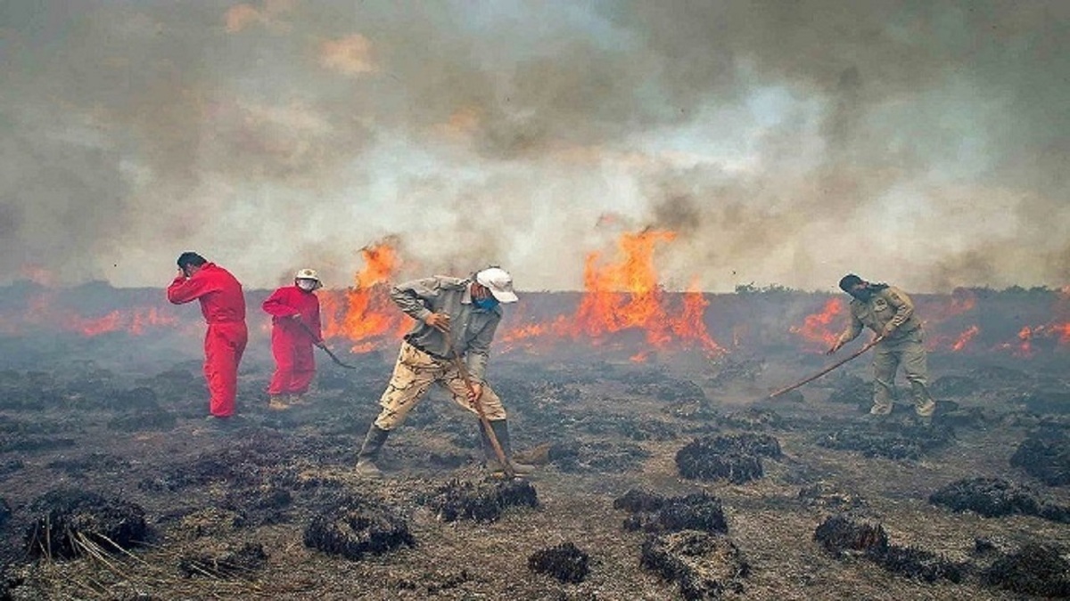 خاکستر شدن ۸ هکتار از پوشش گیاهی میانکاله