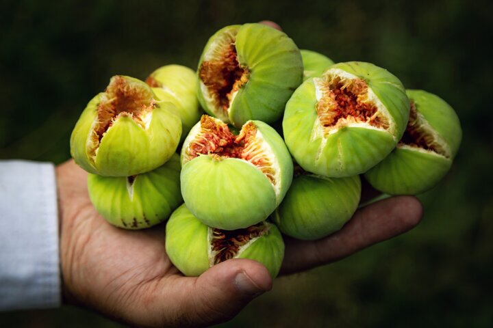 دستور تهیه مربای انجیر با طعمی منحصر‌به‌فرد