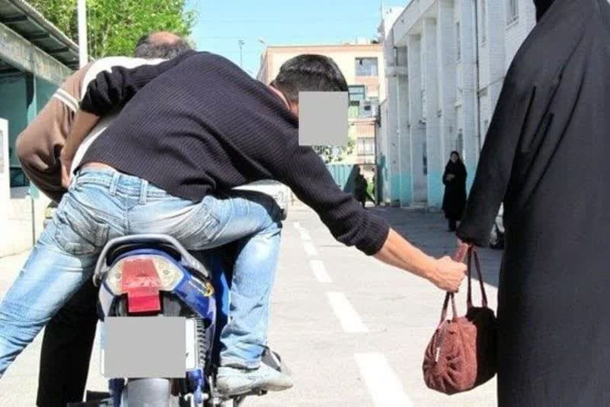 دستگیری سارقان دلار در شهرستان تربت حیدریه