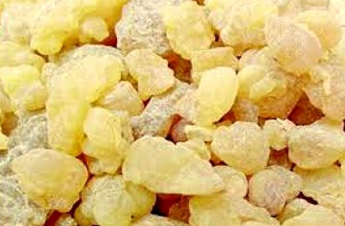 به کمک این گیاه التهابات اشی از بیماری‌ام اس را کاهش دهید