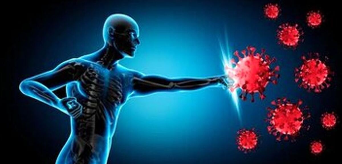 سد دفاعی سیستم ایمنی بدن را با این ادویه تقویت کنید
